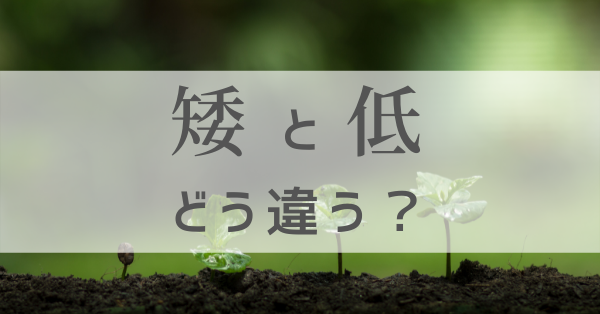 母語のレベルが外国語のレベルを決める『外国語を身につけるための日本語レッスン』